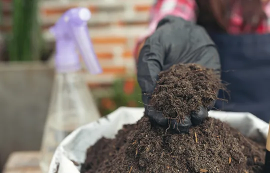 Fermented organic manure provider in Coimbatore